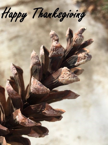 Thanksgiving post 2017