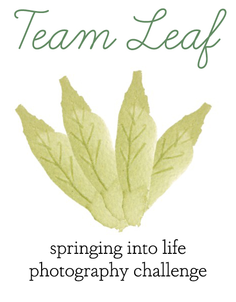Team Leaf