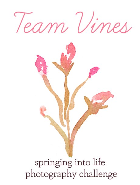 Team Vines
