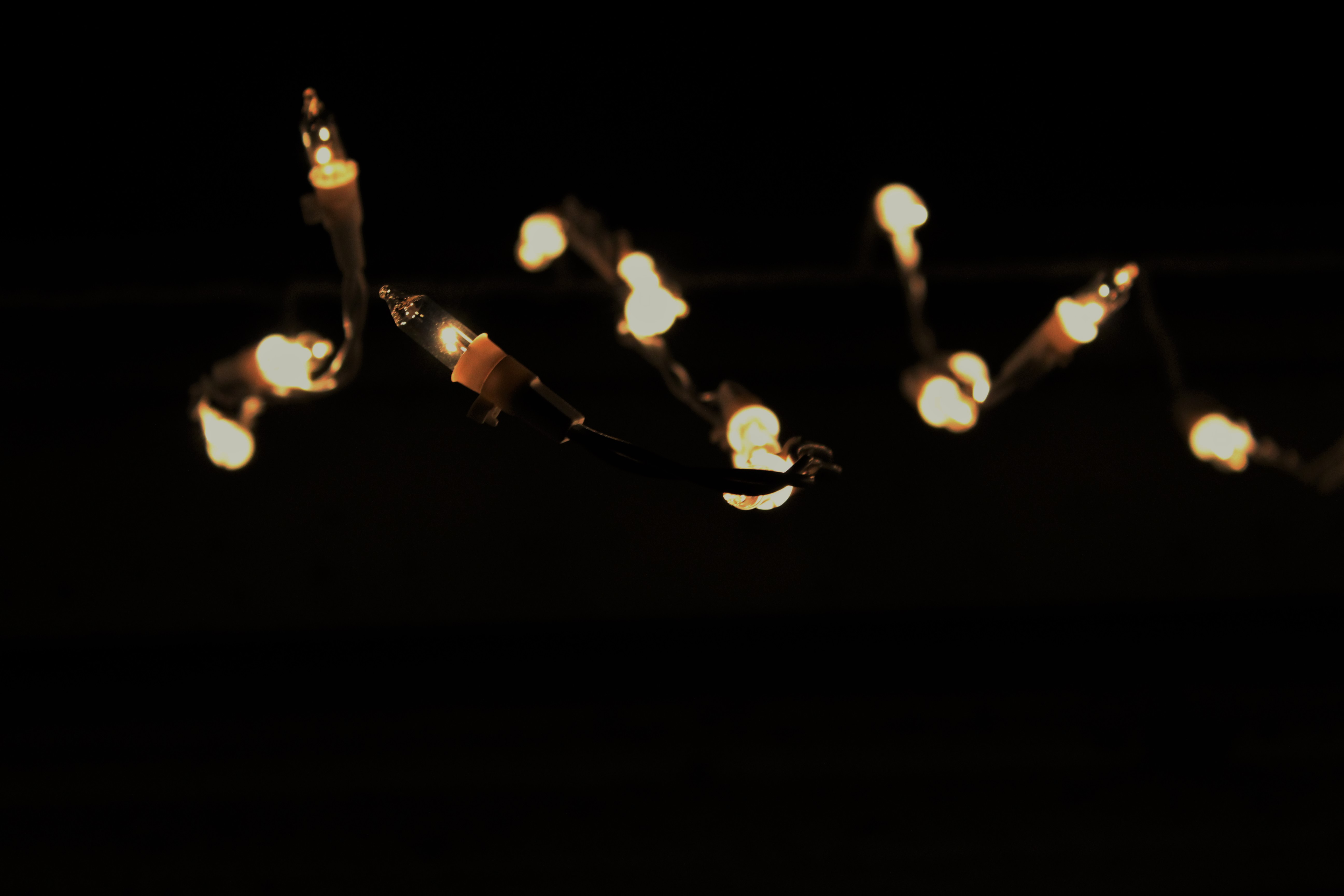 Hannah - Team Fox - Category - 3